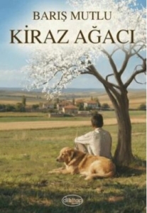 Kiraz Ağacı